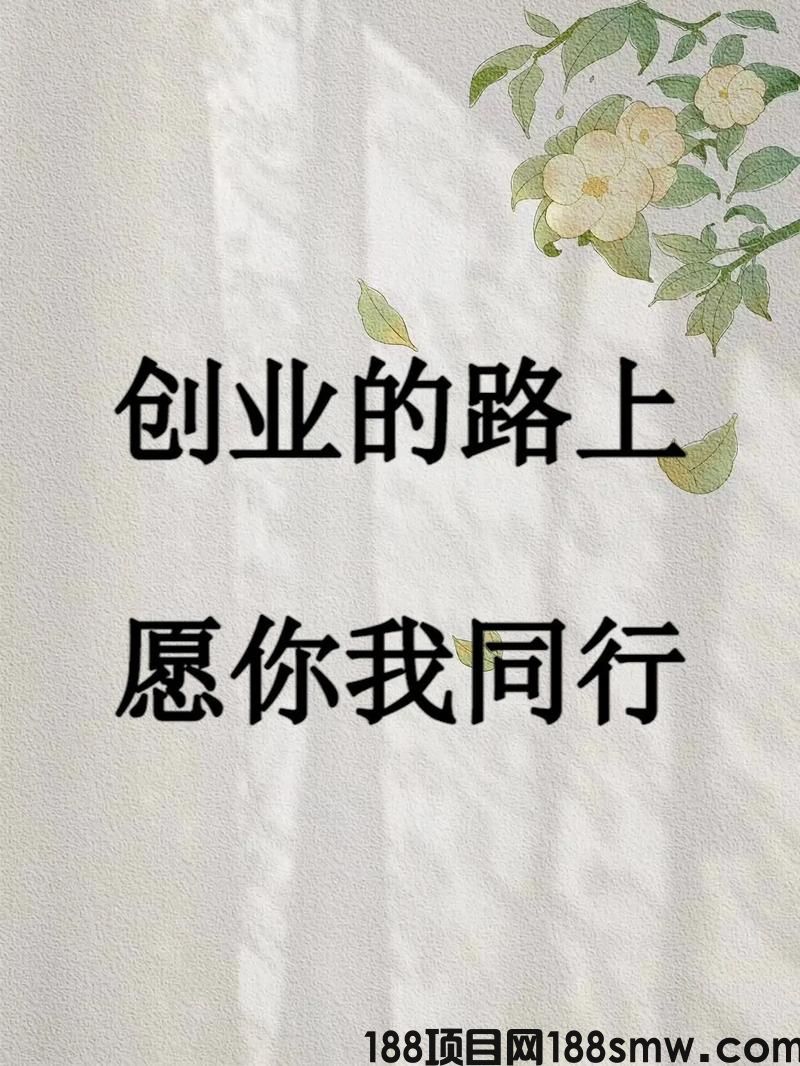 网络项目