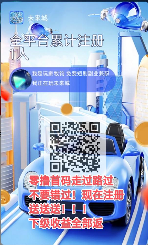 网络项目
