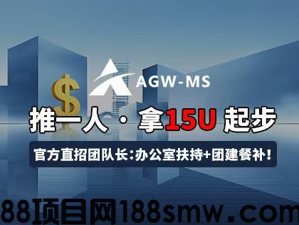 网络项目