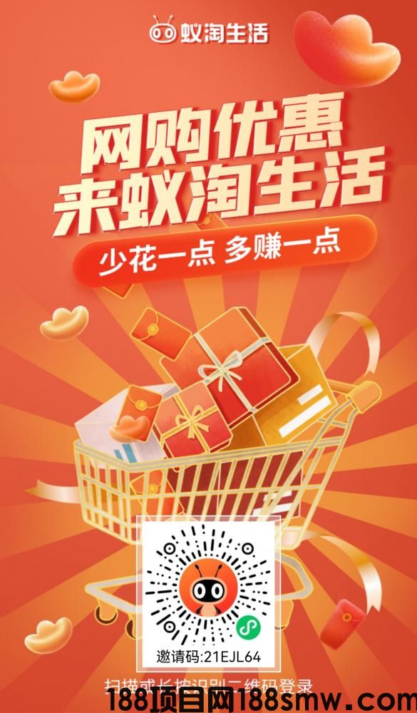 网络项目