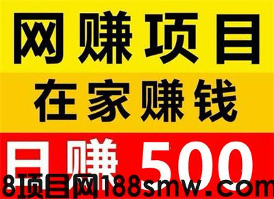 网络项目